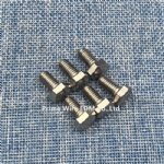 109031193 Charmilles screw